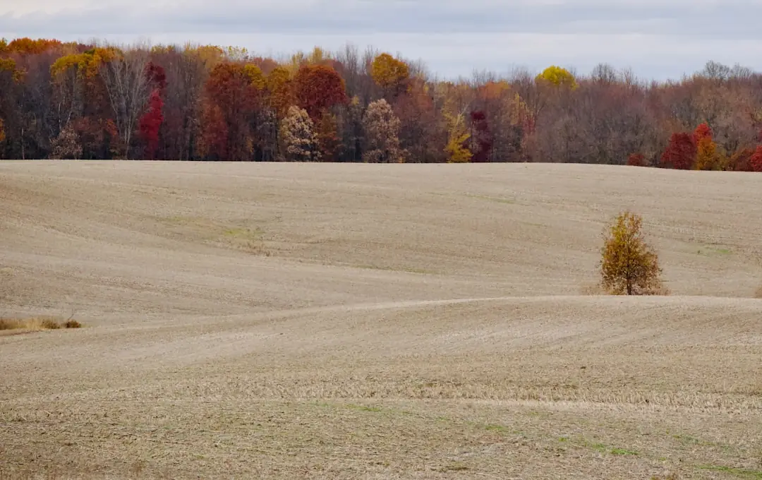 How to Evaluate Raw Land Before Buying: A Practical Guide · She Buys Land